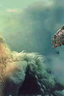 伝説の巨獣狼男対ゴジラ