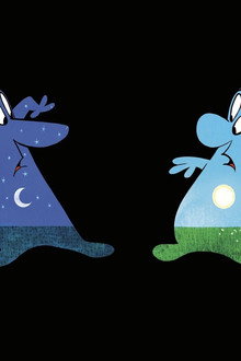 Day & Night