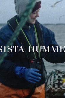 Den sista hummerfiskaren