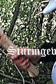 Sturmgewehr