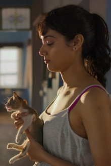 Max, Min and Meowzaki