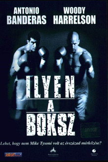 Ilyen a boksz
