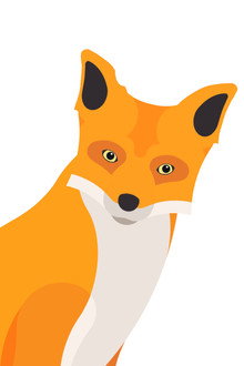 Cheddar Fox