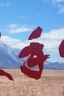 杀手情