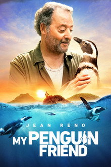 My Penguin Friend