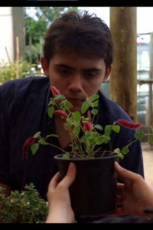 Cacho 'e Camahueto