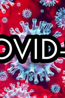 Pandemia COVID History