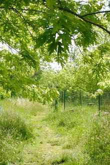 La Picasso Food Forest