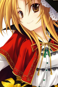The Ambition of Oda Nobuna