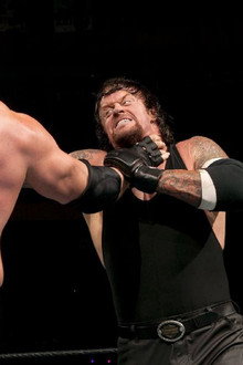 WWE WrestleMania XX