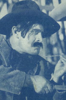 The Cowboy Musketeer
