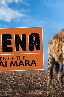 Hyena: Queen of the Masai Mara