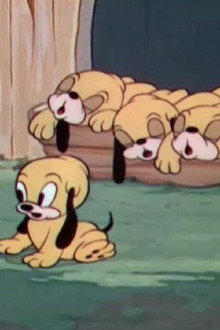 Pluto's Quin-puplets