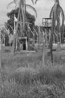 The Camp on Blood Island