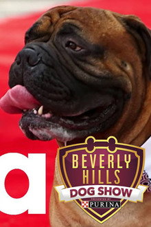 Beverly Hills Dog Show