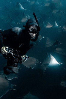 Deep Dive North America