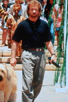 Top Dog