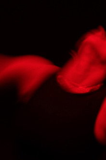 These Violent Delights
