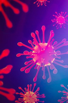 Going Viral: From Ebola to Covid-19
