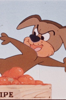 The Three Dogeteers in Courtin' an'a Snortin'