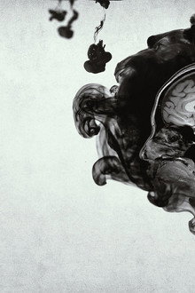 Inside the Criminal Mind