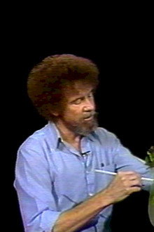 The Joy of Painting with Bob Ross Instructional