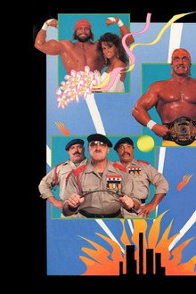 WWE SummerSlam 1991