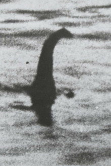 The Mysterious Monsters