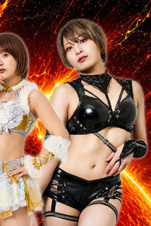 ~Sareee-ISM Chapter XI~ SHINJUKU FACE COUNTDOWN SERIES