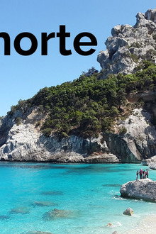 Traumorte