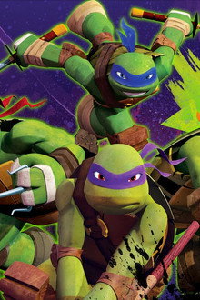 Teenage Mutant Ninja Turtles