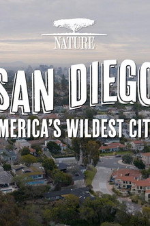 San Diego: America's Wildest City