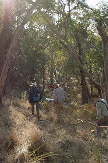 Saving Spring Creek Valley
