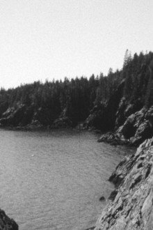 The Forest and The Sea