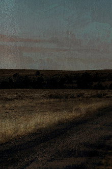 The Matthew Shepard Story: An American Hate Crime