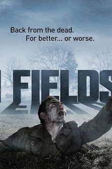 Babylon Fields