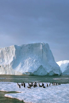Antarctica: On the Edge