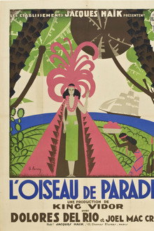 L'oiseau de paradis
