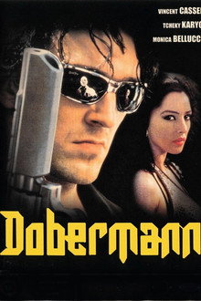 Dobermann