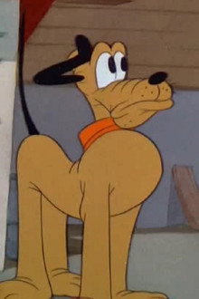 The Army Mascot