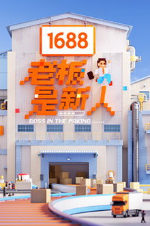 老板是新人