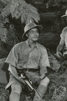Jungle Safari