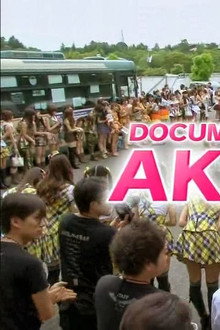 Documentary of AKB48: AKB48+1
