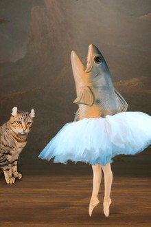 The Battle for Swan Lake