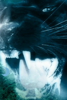 Night Creature