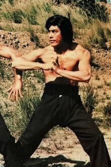 詠春與截拳