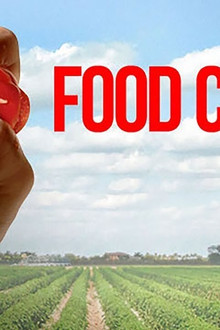 Food Chains