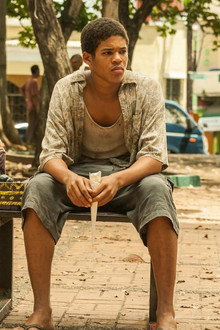 The King of Havana