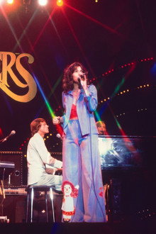 Carpenters: Live at Budokan