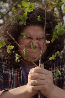 Money Tree